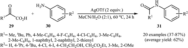 Scheme 15