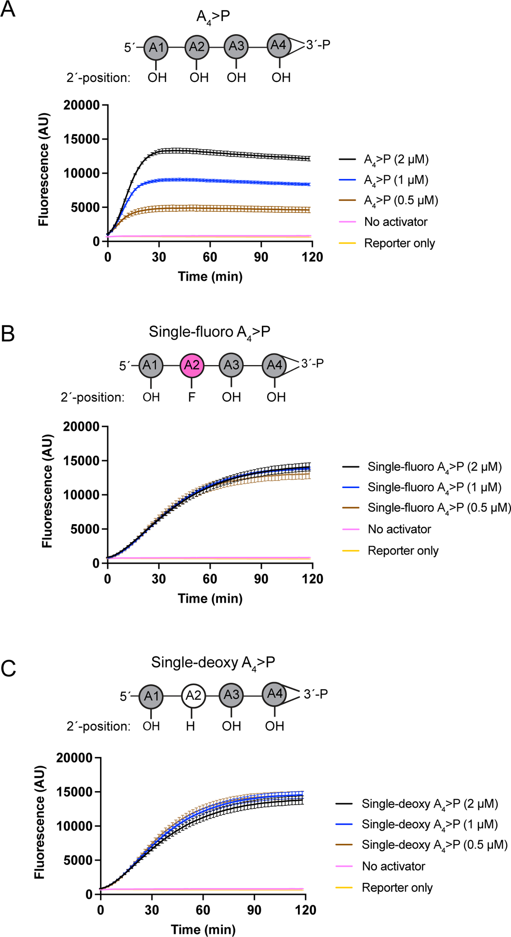 Extended Data Figure 1: