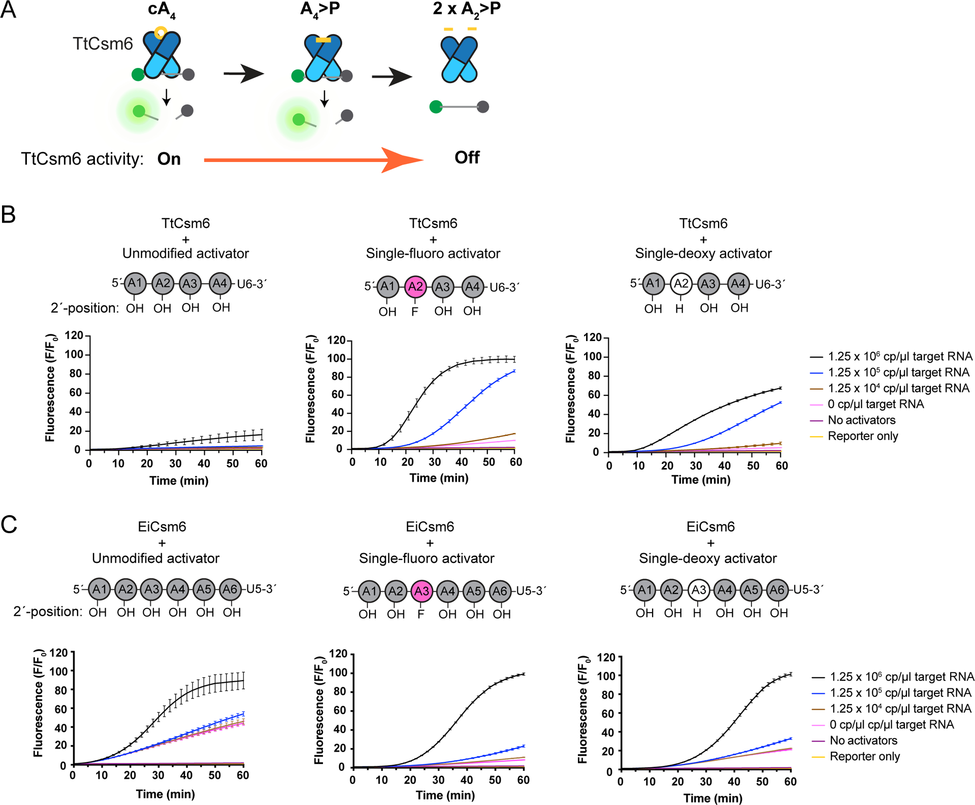 Figure 2: