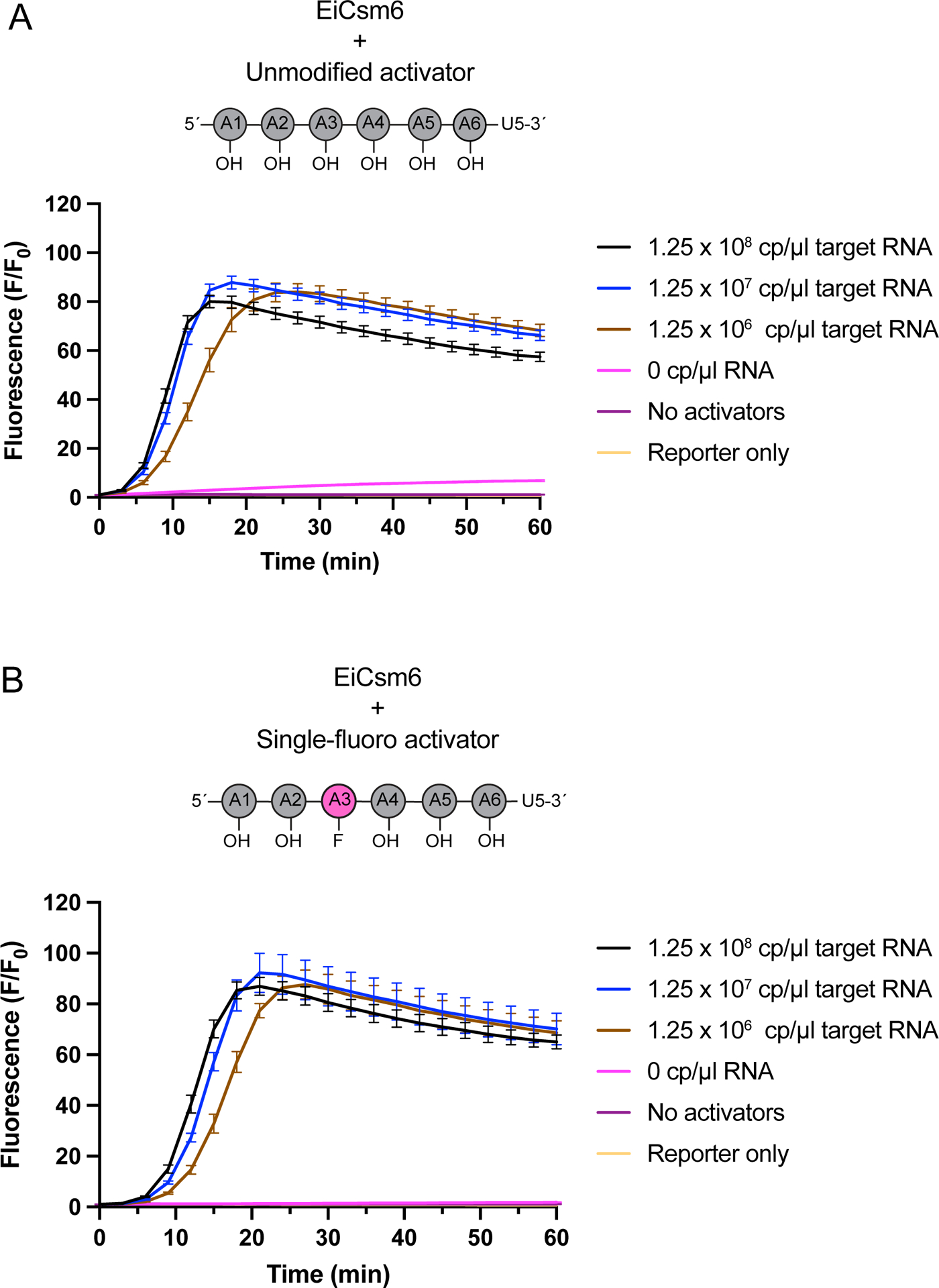 Extended Data Figure 4, related to Fig 2: