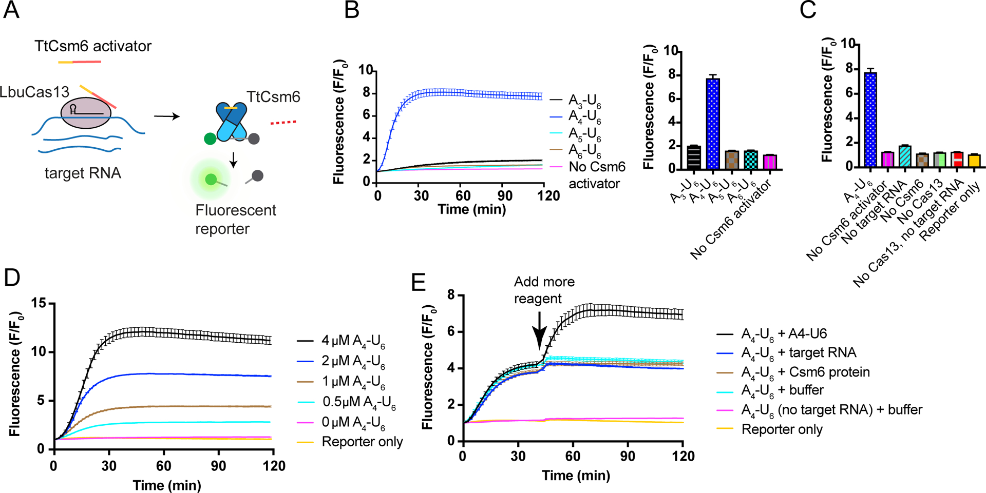 Figure 1: