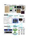 Overview of the AVAToL next-generation phenomics project
