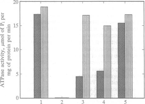 graphic file with name pnas01146-0226-a.jpg