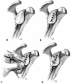 Fig. (3)