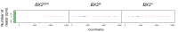 Figure 2—figure supplement 2.