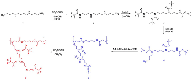 Scheme 1