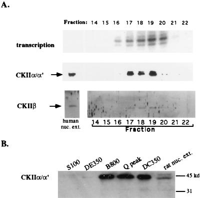 FIG. 9