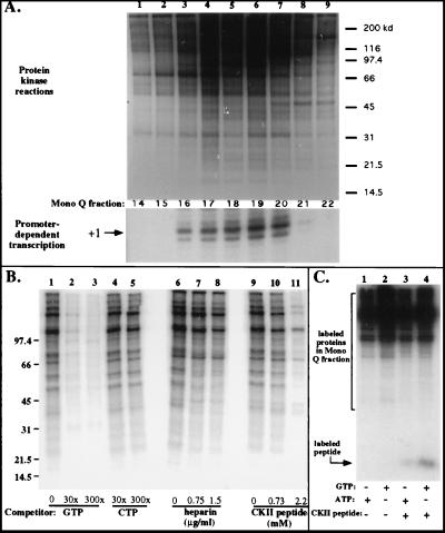 FIG. 8