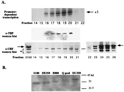 FIG. 7