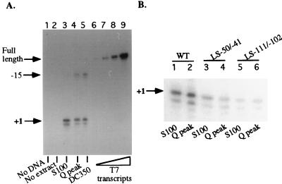 FIG. 5