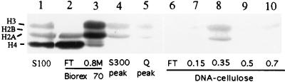 FIG. 10