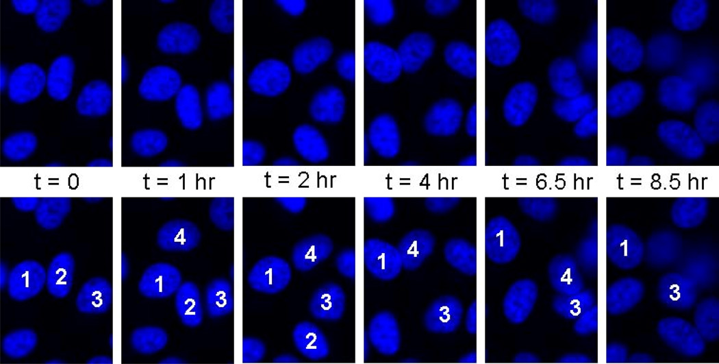 Figure 4