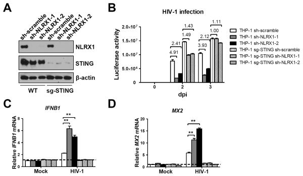 Figure 6