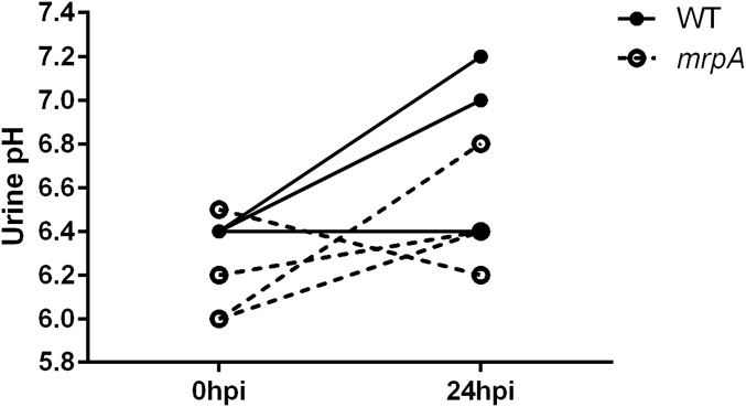 Fig. S6.