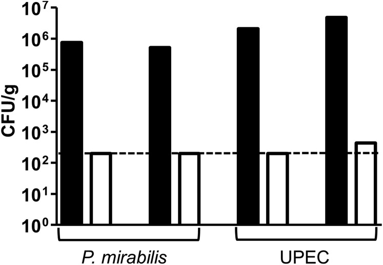 Fig. S1.