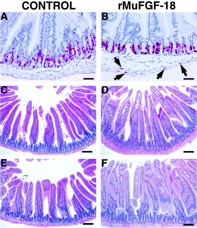 FIG. 6