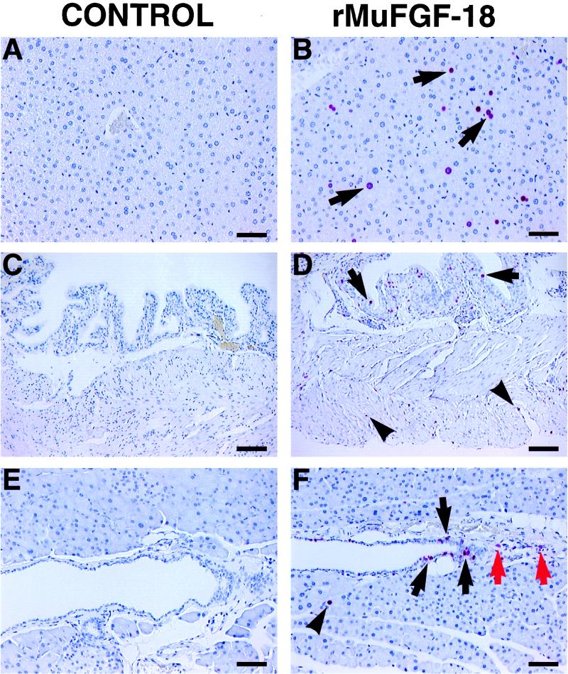 FIG. 7