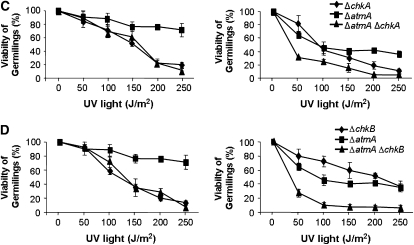 Figure 5.—