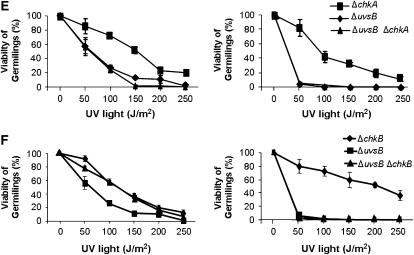 Figure 5.—