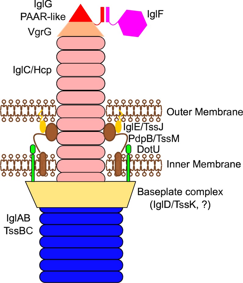 Fig 11