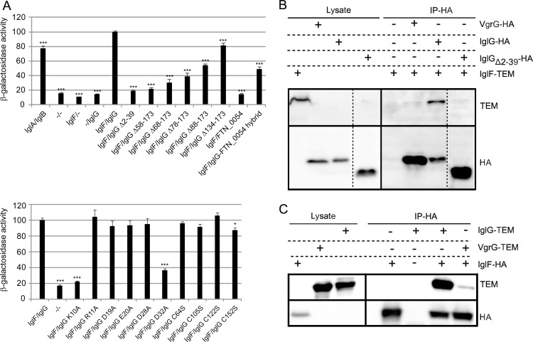 Fig 10