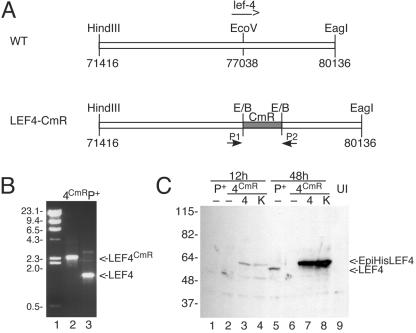 FIG. 4.