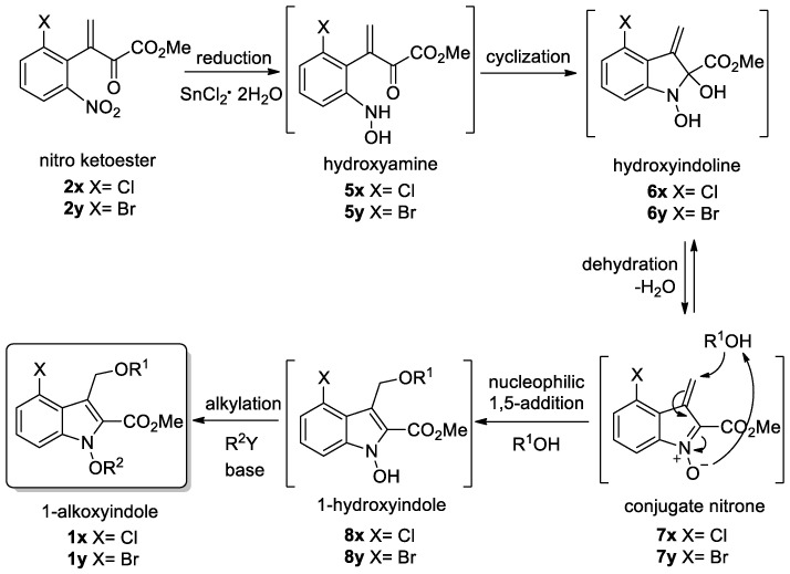 Scheme 2