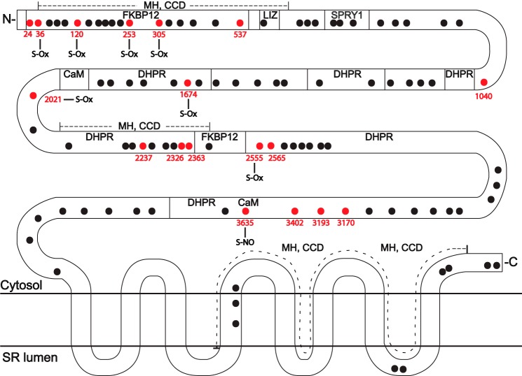 FIGURE 2.