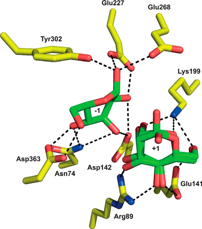 FIGURE 5.