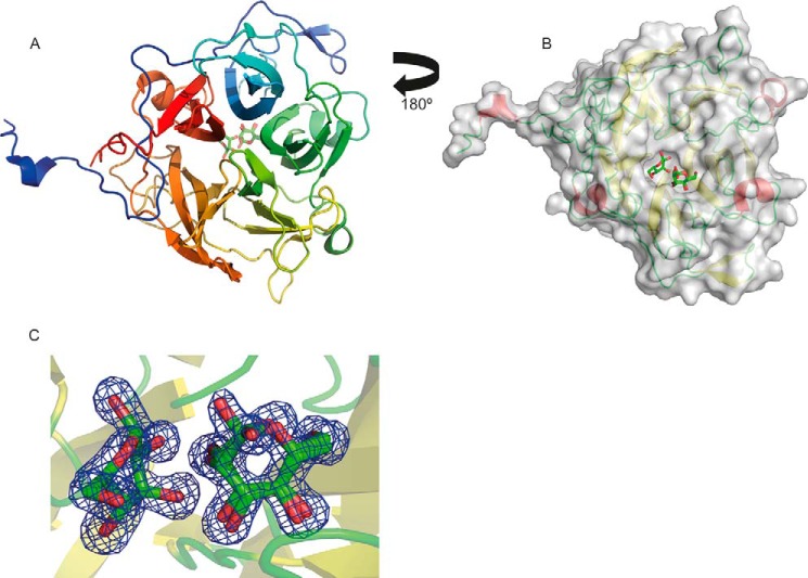 FIGURE 4.