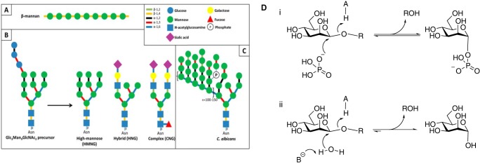 FIGURE 1.