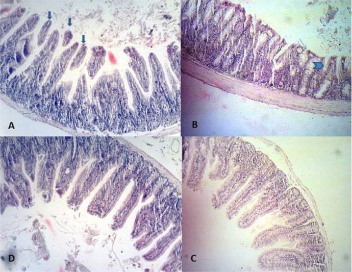 Fig. 3: