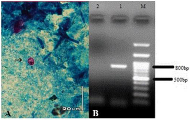 Fig. 2: