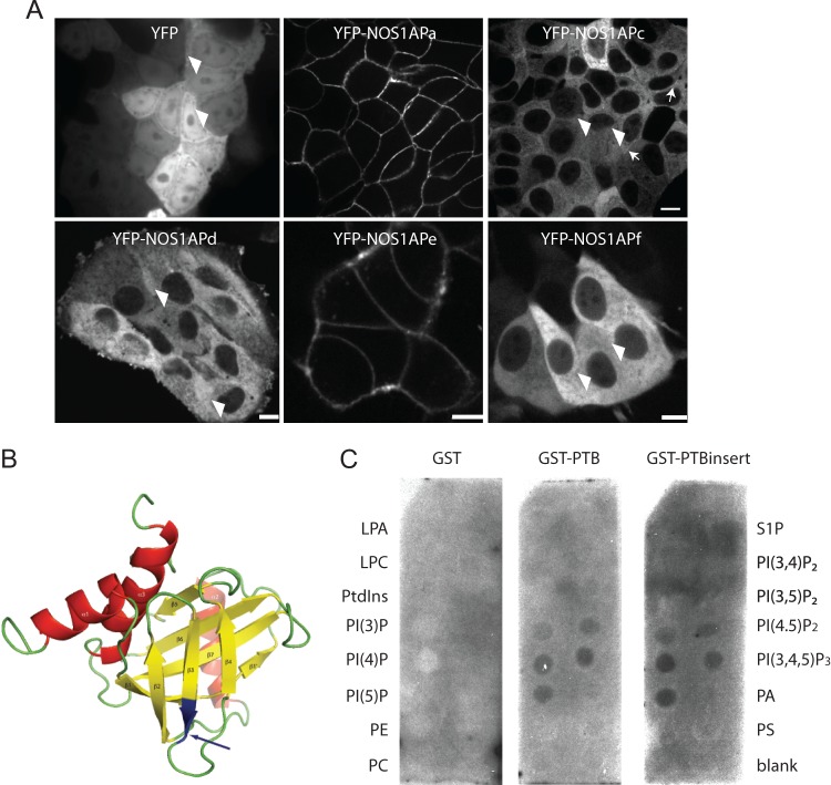 FIG 3