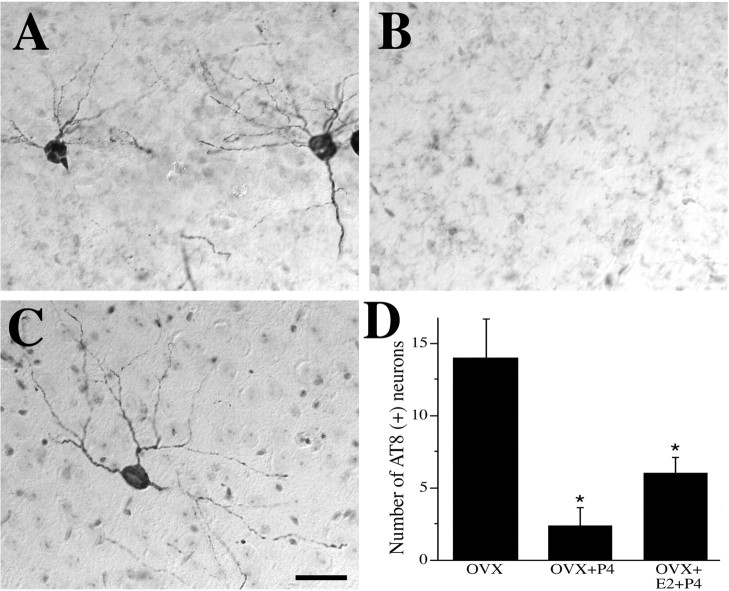 Figure 10.