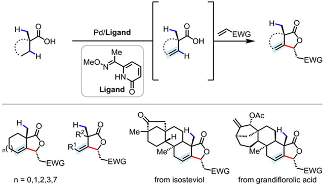 graphic file with name nihms-1896983-f0001.jpg