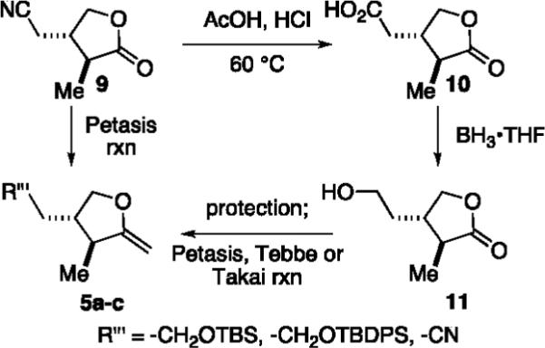 Scheme 2