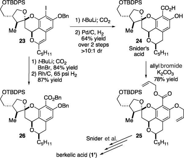 Scheme 5