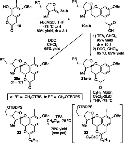 Scheme 4