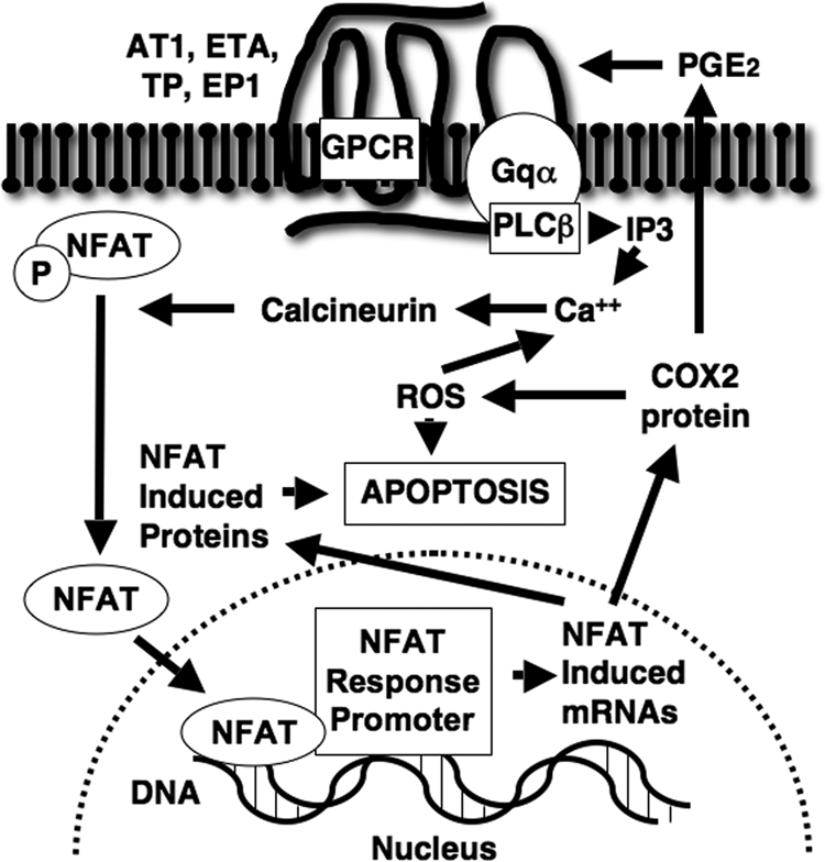 Fig. 7.