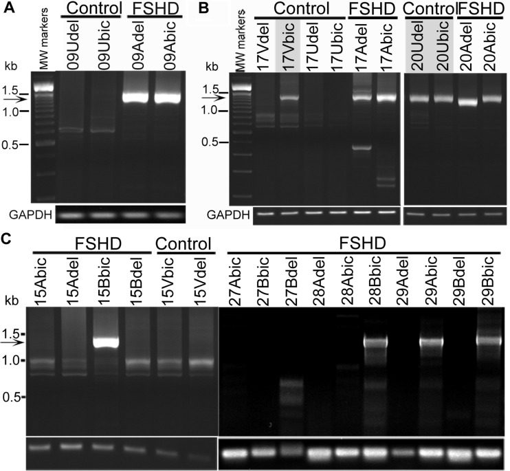 Figure 4.