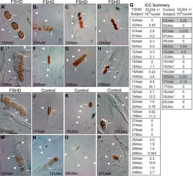 Figure 2.