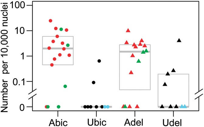 Figure 3.