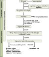 F<sc>ig</sc>. 1.—