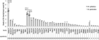 F<sc>ig</sc>. 2.—