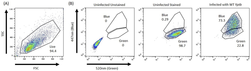 Figure 1: