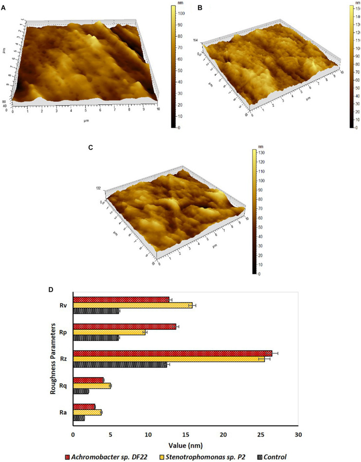 FIGURE 3