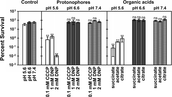 FIG 2