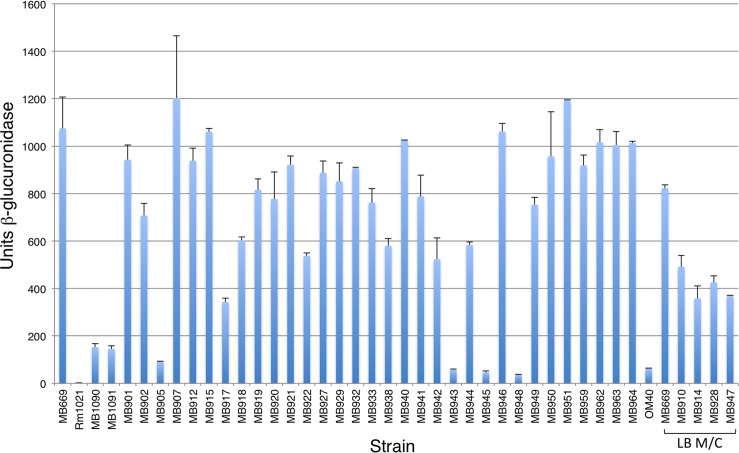 FIG 2