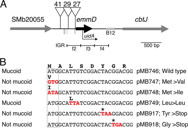 FIG 3